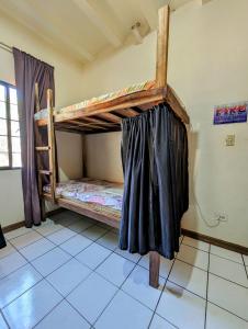 Rúm í herbergi á Screaming Gecko Hostel
