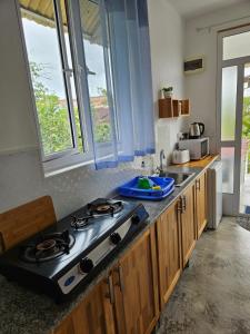Kuchyň nebo kuchyňský kout v ubytování Casa Frangipani Mauritius