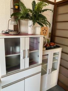 a white cabinet with a plant on top of it at One Room in Pusang Gala in Yuki
