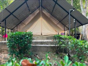 Zahrada ubytování Amar Camp Taman Negara Kuala Tahan