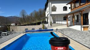 克利默内什蒂Casa Basarab的房子前面的游泳池