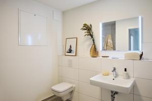 une salle de bain blanche avec toilettes et lavabo dans l'établissement Apartment B 6 "Pine Hill Resort", à Zirchow