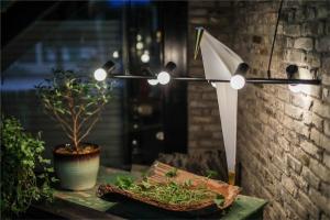 Сад в Huangliang Yimeng Designer Hotel Wuzhen Xizha Scenic Area Branch
