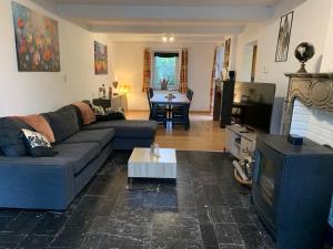 a living room with a couch and a tv at Le Cat'saisons in Wellin