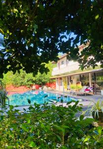 Bazén v ubytování Saman Resort Yala nebo v jeho okolí