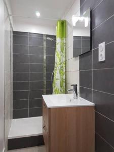 a bathroom with a sink and a shower at COCON du centre ville avec PARKING et WIFI in Millau