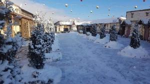 Art Hotel Sevan talvel