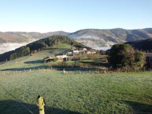 a person is standing in a field with a hill at Apartamento Casa Jeronimo in Taramundi