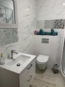 Koupelna v ubytování Apartament Orla