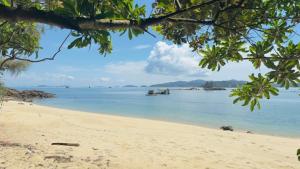 Příroda nedaleko hotelu