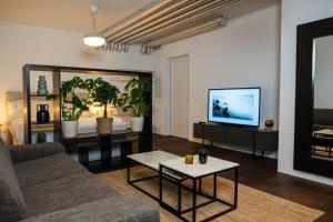 TV a/nebo společenská místnost v ubytování Modern Bijou Bern