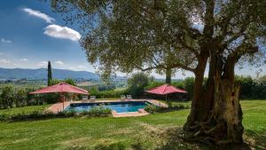 a pool with two umbrellas and a tree at Villa Marliana in Cerreto Guidi