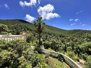a palm tree on top of a hill with a bridge at Villa Blanche pour 8 personnes avec piscine privée à La Londes-Les-Maures in La Londe-les-Maures