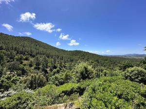 auliculiculiculiculiculiculiculiculiculiculiculiculiculiculic at Villa Blanche pour 8 personnes avec piscine privée à La Londes-Les-Maures in La Londe-les-Maures +37 photos