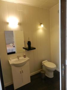 a bathroom with a white toilet and a sink at les chambres du parc in Dammarie-sur-Saulx