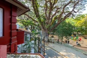 a view of a tree from a balcony of a building at Koder House in Cochin