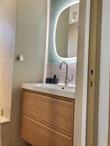 a bathroom with a sink and a mirror at Chez Louise in Ambérieu-en-Bugey