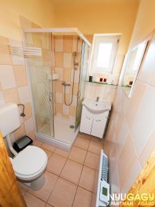加尔多尼Nyugágy Apartman的带淋浴、马桶和水槽的浴室