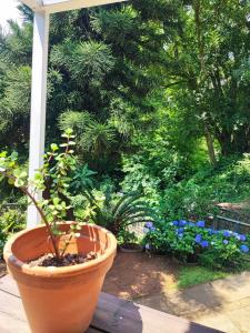 Zahrada ubytování AtTheDeck