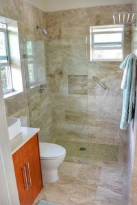 a bathroom with a shower with a toilet and a sink at Esencia Cottage in Providenciales
