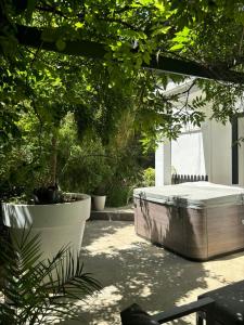 Vườn quanh Grande maison avec beaucoup de charme centre ville de Perpignan