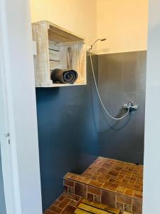 ein Bad mit einer gefliesten Dusche mit einem Schlauch in der Unterkunft Lakaz Kokas in Pereybere