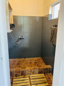ein Bad mit einer Dusche und Steinboden in der Unterkunft Lakaz Kokas in Pereybere