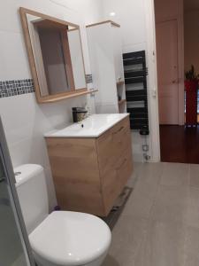 ein Badezimmer mit Toilette, Waschbecken und Spiegel in der Unterkunft 3Chambre calme première étage in Montgeron