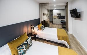 a hotel room with a bed and a tv at Apartamentos Luxury en San Juan in Badajoz