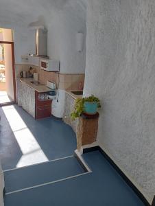 a kitchen with a sink and a counter with a potted plant at Cueva Pilones in Graena +21 photos