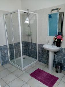 a bathroom with a shower and a sink at Chambre d'hôtes Le Pot au Lait in Villaines-la-Juhel