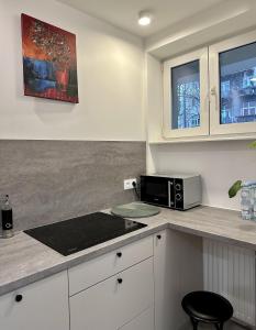 a kitchen with a counter top with a microwave at Tamaja 2 in Bielsko-Biała +7 photos