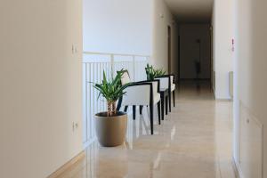 Imagine din galeria proprietății Ranalli Palace în Peschiera del Garda +145 fotografii