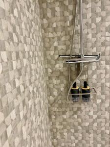 un bagno con doccia e due WC di Apartamento La Pinada a Tramacastilla de Tena