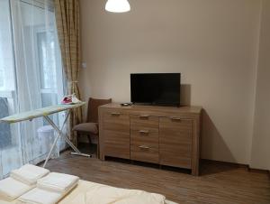 TV a/nebo společenská místnost v ubytování Apartment Andri