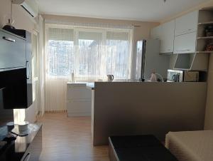 Kuchyň nebo kuchyňský kout v ubytování Apartment Andri