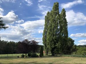 a large tree in the middle of a field at DCV Summer Home in Blis-et-Born