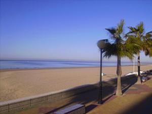 vistas a una playa con palmeras y al océano en Macavi, en Rota