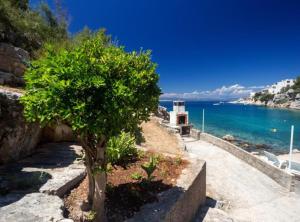 ein Baum an der Seite einer Straße in der Nähe des Wassers in der Unterkunft Vacation House Jadranko in Gdinj + 37 Fotos