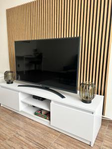 Televízia a/alebo spoločenská miestnosť v ubytovaní Apartment Lilly
