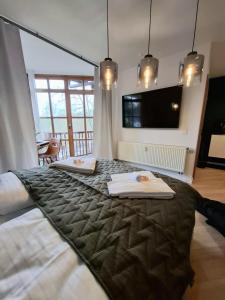 a bedroom with a large bed with a flat screen tv at Select-Home 5 - Entspannen & Wohlfühlen am Stausee in Rötz