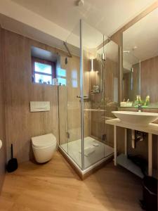 a bathroom with a shower and a toilet and a sink at Select-Home 5 - Entspannen & Wohlfühlen am Stausee in Rötz