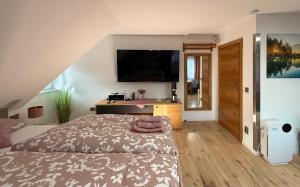 ein Schlafzimmer mit einem Bett und einem Fernseher an der Wand in der Unterkunft Haus an der Sieber in Herzberg am Harz