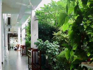Zahrada ubytování Canggu Surf Hotel