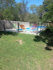 un cane che si trova sull'erba vicino alla piscina di La Soñada a Villa Quillinzo