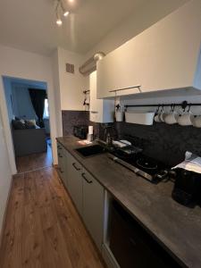 Kuchyň nebo kuchyňský kout v ubytování Altstadt Apartment Bautzen