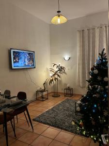 a living room with a christmas tree and a tv at Appartement centre historique in Tarascon +2 photos
