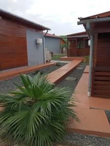 Φωτογραφία από το άλμπουμ του Beachbungalows σε Guadalupe