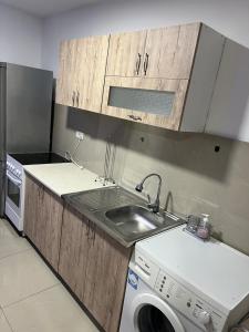 a kitchen with a sink and a washing machine at Melvina in Pančevo