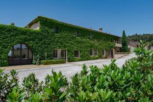 un edificio cubierto de hiedra verde en una calle en La Marrana - Castello del Terriccio, en Castellina Marittima